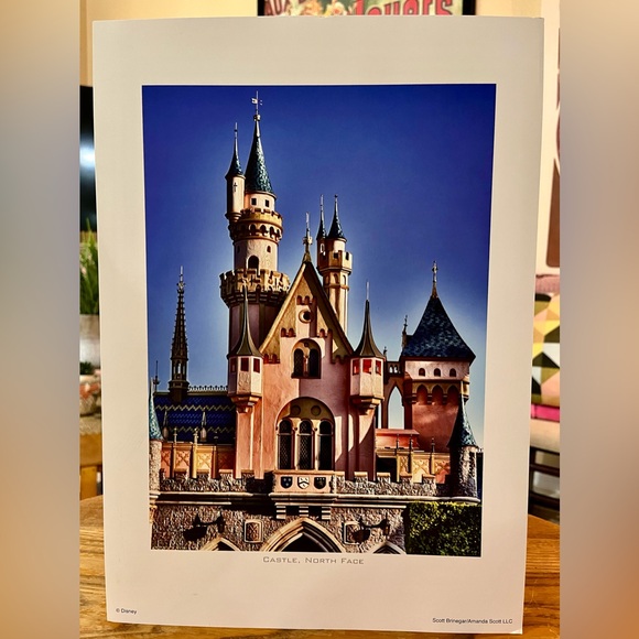 Disney World Cinderellas Castle North Face Art Print 15.5” x 11” - Picture 1 of 6